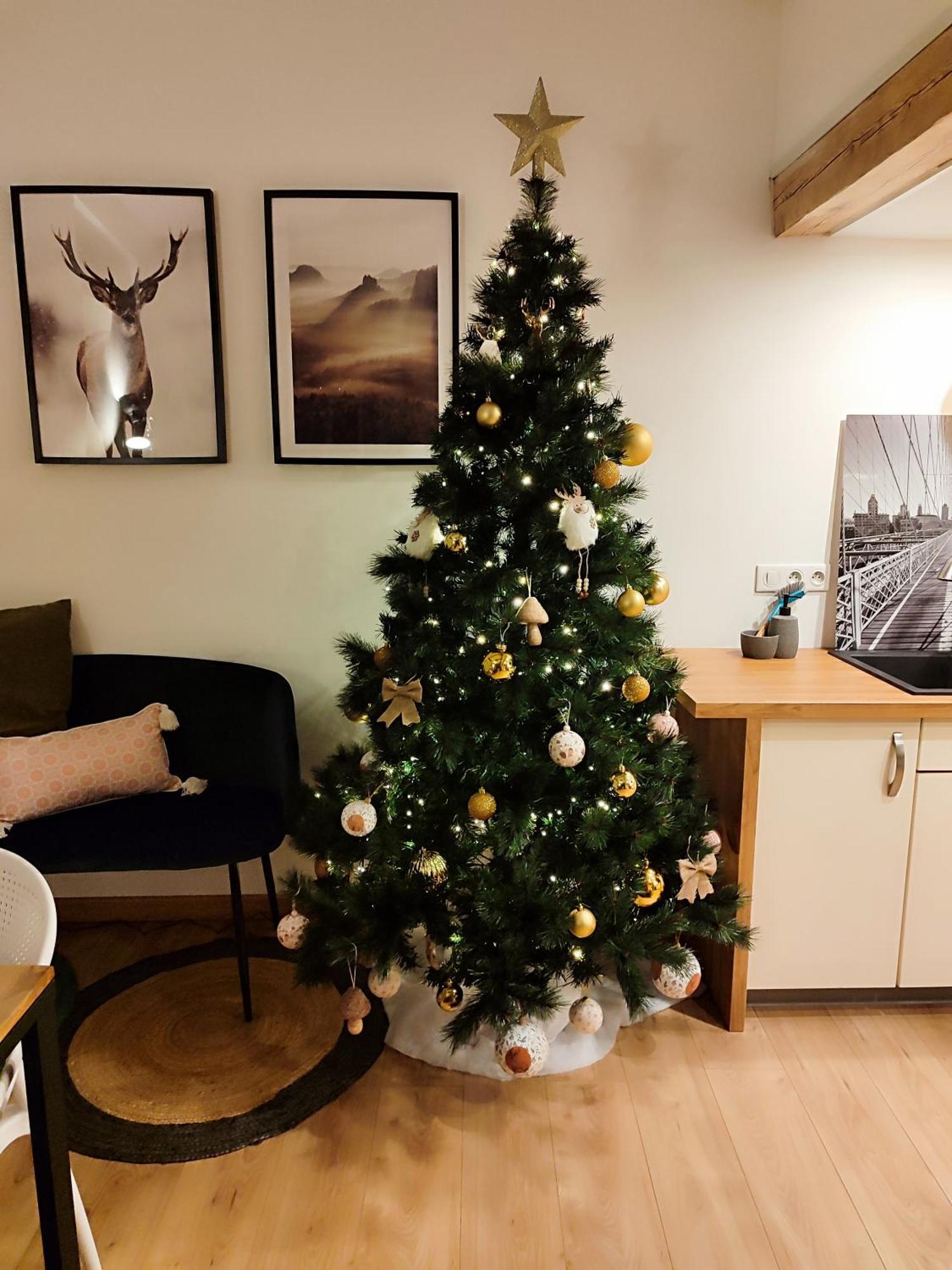 Le Chaleureux Loft 1 Minute Du Tram Daire Lingolsheim Dış mekan fotoğraf